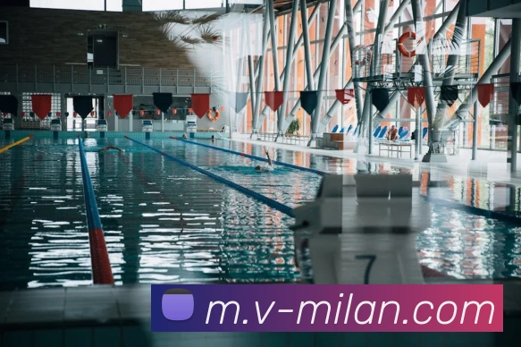 App Interface Preview